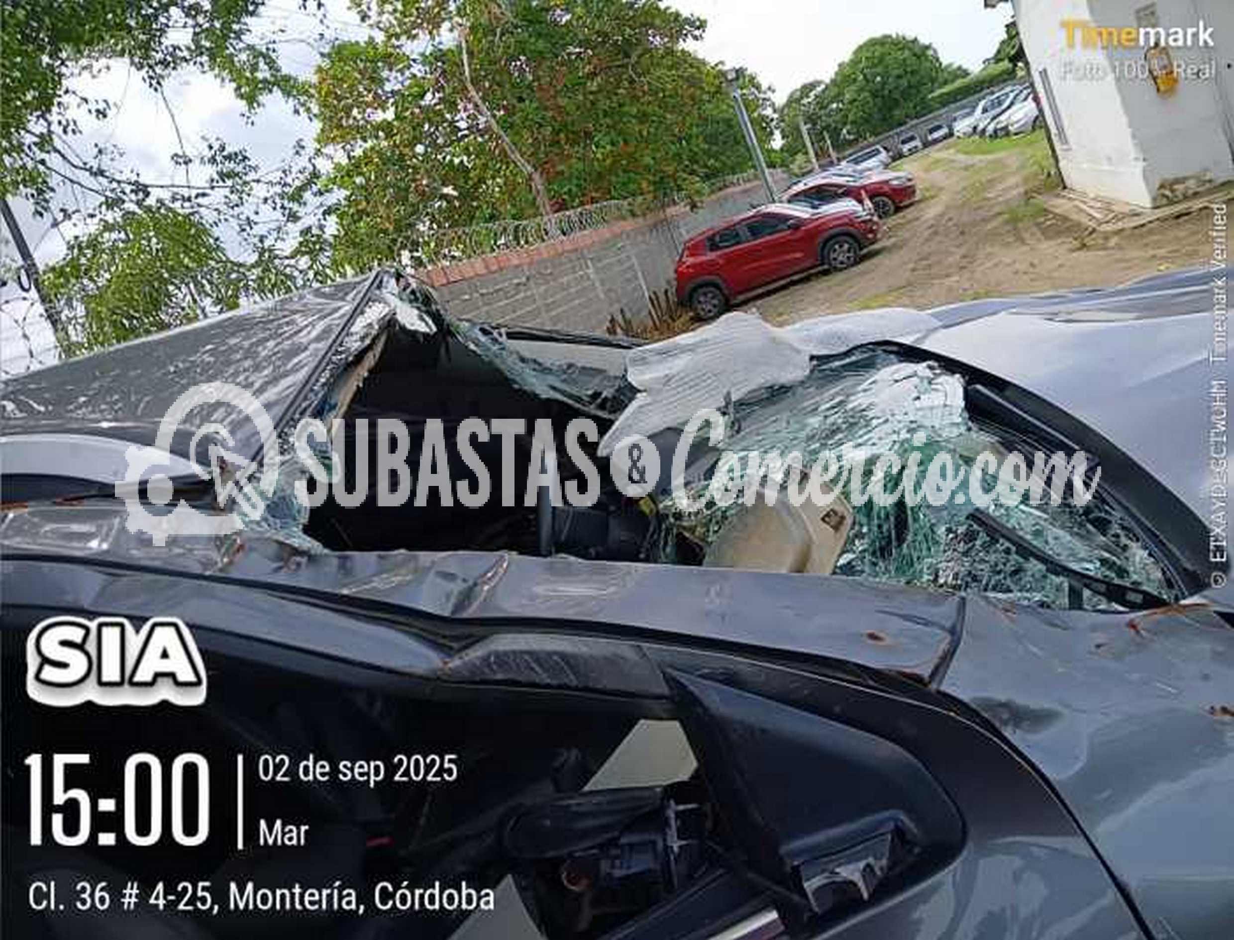 Imagen de WhatsApp 2025-09-02 a las 15.08.23_0f8368c5.jpg